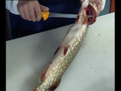 filetowanie szczupaka.avi