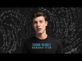 Shawn Mendes - Never Be Alone (Audio)