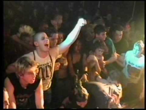 Punks Coalition Video