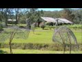 Hunter Valley Accommodation and Wine