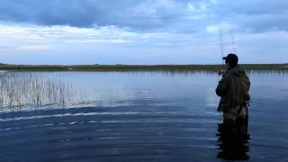 Видео о рыбалке №261
