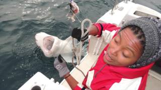 Savage Seas Adventures is celebrating 10 years