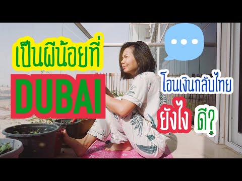 อยู่ดูไบ อยากโอนเงินกลับบ้าน ทำยังไงดี? โอนที่ไหน? ค่าธรรมเนียมเท่าไหร่ I Dubai&39;s Diary
