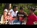 Pabalu Episode 255