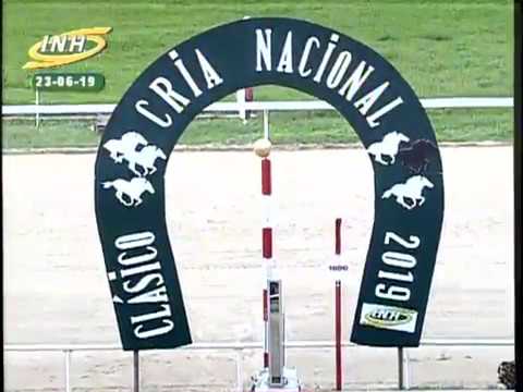 🏆 Clásico "Cría Nacional" 2019 | Gran Omero | R33 | La Rinconada
