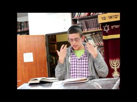 Ohr David Tazriah V'Metzorah