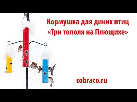 Кормушка для диких птиц