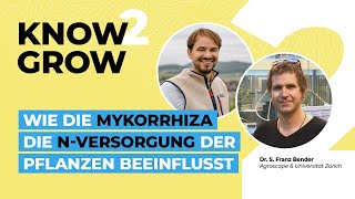 Wie die Mykorrhiza die N-Versorgung der Pflanzen beeinflusst