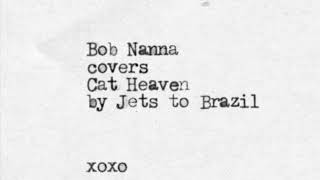 Watch Jets To Brazil Cat Heaven video