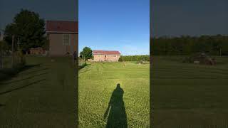 Yard Snake Up-Close Sighting Captured On Camera