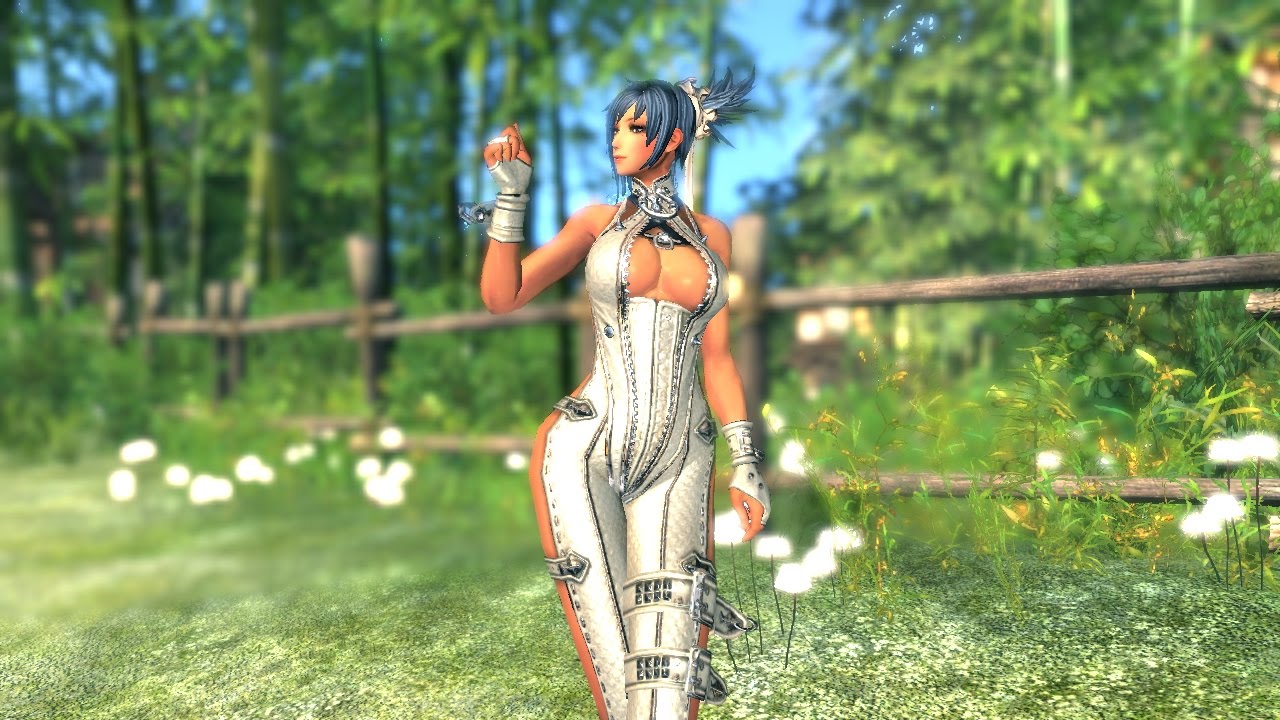 blade and soul outfit mod