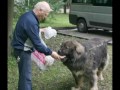Я, Татьяна Ягодкина и кавказская 