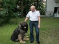 Асланом Абашидзе. 