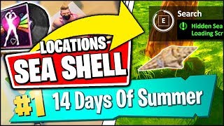 SEARCH THE HIDDEN SEA SHELL IN THE BEACH THEMED LOADING SCREEN LOCATION (Fortnite 14 Days Of Summer)