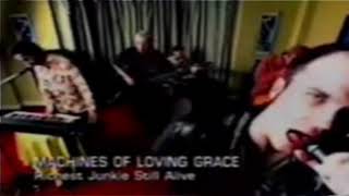 Watch Machines Of Loving Grace Richest Junkie Still Alive video