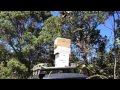 Flow™ Hive: Swarm to Harvest Byron Bay