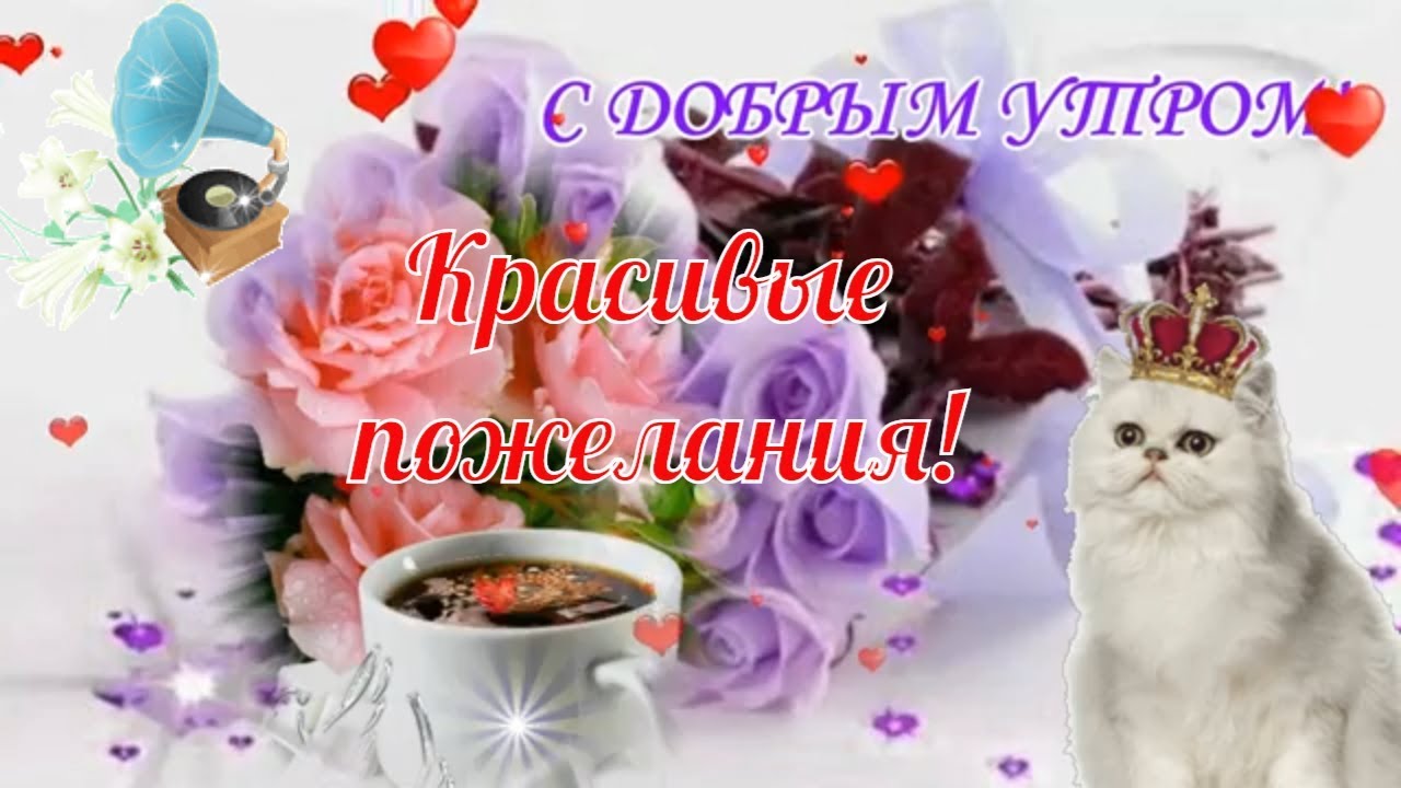 Поздравление С Добрым Утром Женщине Тик Ток — Pozdravlyamba.ru