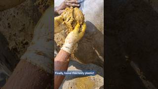 Successful Recovery Of Plastic Cover From Cows Rumen A Call For Better Waste Management Practices