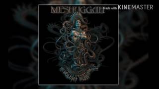 Watch Meshuggah Our Rage Wont Die video