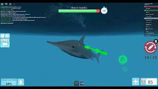 Jelly Playing Roblox With Sanna Shark Bite