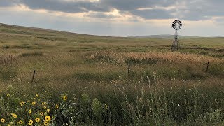 Spring-Fed - 360° | Watershed | PBS and NET Nebraska