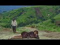 Kasi Full Movie 2023| Swahili movie - Bongo movie #benroyalmovies #bongomovies #netflix
