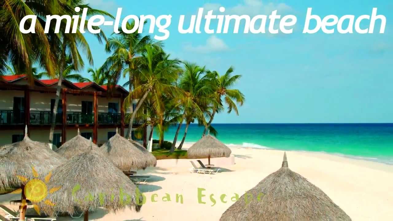 Divi Aruba Todo Incluido Divi Aruba Todo Incluido