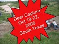 TAMUK Deer Capture 2006