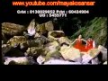Usle Jati Maya Timilai Maile pani Dinthe Hola By Pramod Kharel Latest Superhit Nepali Song 2011 YouTube