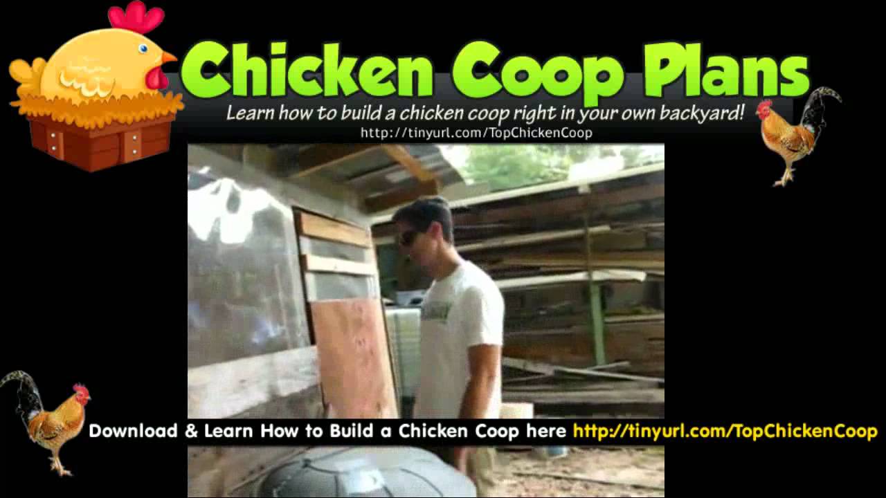 Chicken Coop Automatic Door Opener - Chickens Coops - YouTube