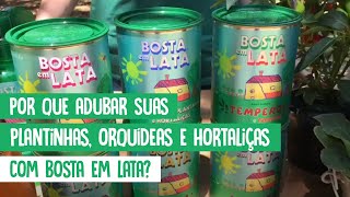 Por que Adubar suas Plantinhas, Orquídeas e Hortaliças com Bosta em Lata?
