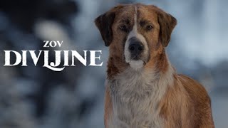 Zov Divljine Kako Preživjeti Divljinu 2020