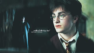 ◄ harry potter x tom riddle. | in this for the long haul