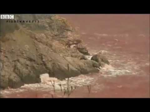 Huge Sinkholes on End Time News Propehcy News Earthquakes Floods Sink Holes Weather