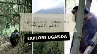 Mgahinga Gorilla National Park | Uganda