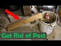 Peanut Butter Mice Trap DIY- How to Make a Simple Rodent Trap
