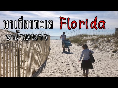 เที่ยวทะเลฟลอริด้าหน้าหนาว | My Life in USA แม่บ้านไร้สาระ