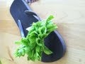 Manualidades - Como Decorar Sandalias o Chancletas Divertidas