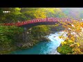 ［HD］世界遺産 秋の日光東照宮の紅葉 The World Heritage in Nikko 紅葉便り 日本の秋