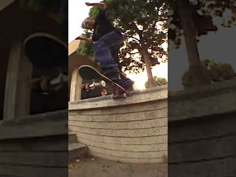 Chip 2000 Classic Skateboarding Shorts