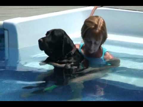 k9 Waves - Raphael and the Miracle of Water.wmv
