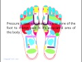Reflexology Foot Massage in Practice