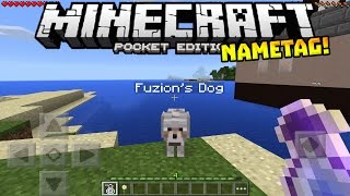 NAMETAGS in MCPE!! - HIDDEN FEATURE!! - Minecraft PE (Pocket Edition)
