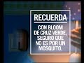 Bloom Llanto Cast 20seg 29 05 02