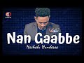 Hachalu Hundessa-"Nan Gaabbe" - New Ethiopian Oromo Music with Lyrics(Walaloo) |Official Video 2021|