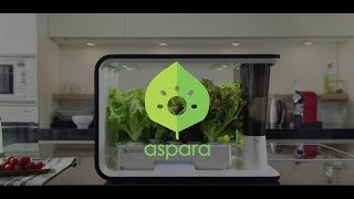 aspara - the Smart Veggie Grower