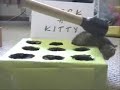 kitty