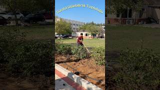 Sürdürülebilirlik Topluluğunun Düzenlediği Kampüsümüzü Yeşillendiriyoruz Etkinliğine Katıldık