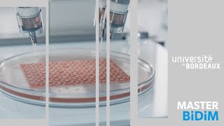 Master En Ingénierie De La Santé, Parcours Biomatériaux Et Dispositifs Médicaux Master Bidim