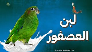 ياسلام ..أنت لو طلبت لبن العصفور هجيبهولك Crop Milk